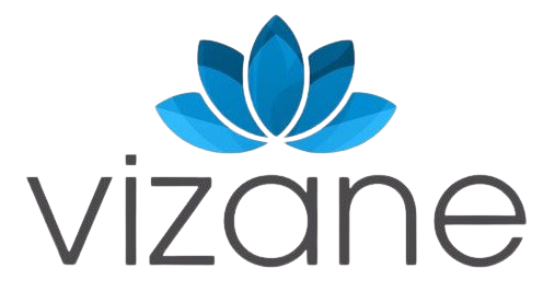 Logo da Vizane